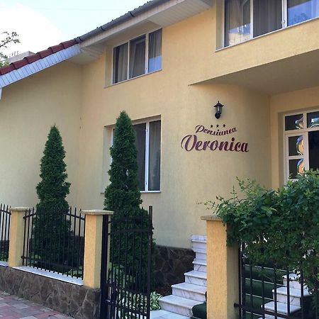 Pensiunea Veronica Баиле Феликс Экстерьер фото